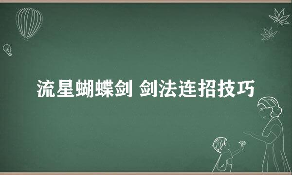 流星蝴蝶剑 剑法连招技巧