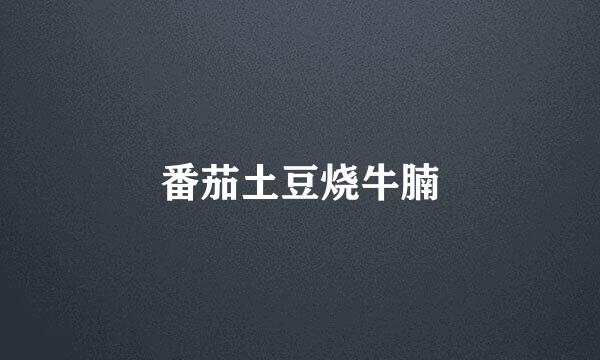 番茄土豆烧牛腩