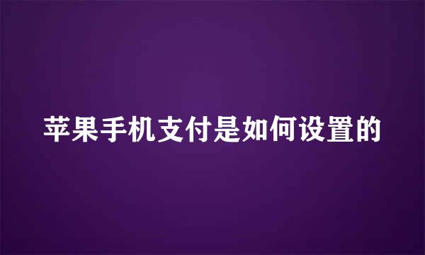 苹果手机支付是如何设置的