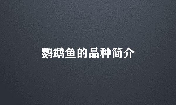 鹦鹉鱼的品种简介