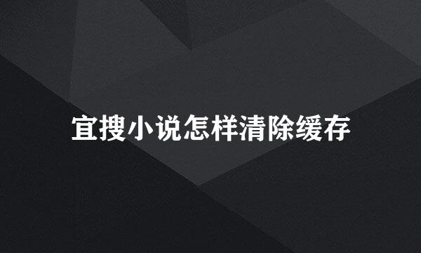 宜搜小说怎样清除缓存