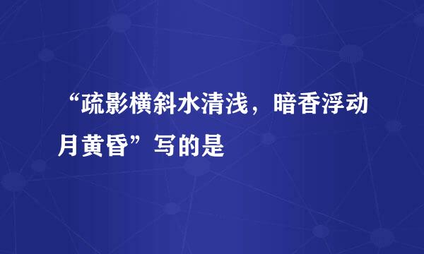 “疏影横斜水清浅，暗香浮动月黄昏”写的是