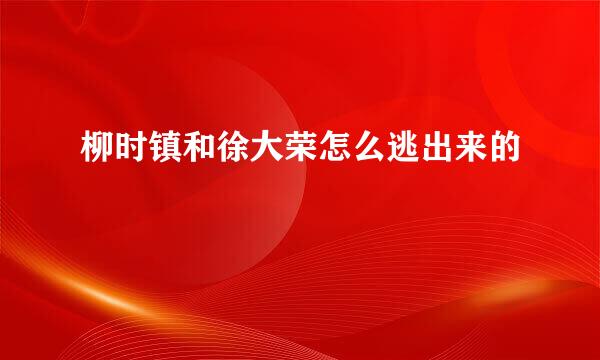 柳时镇和徐大荣怎么逃出来的
