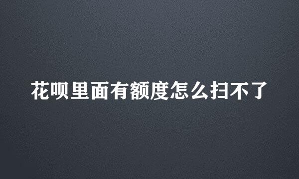 花呗里面有额度怎么扫不了