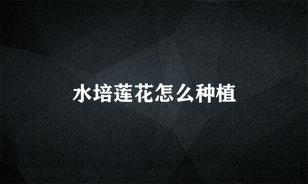 水培莲花怎么种植