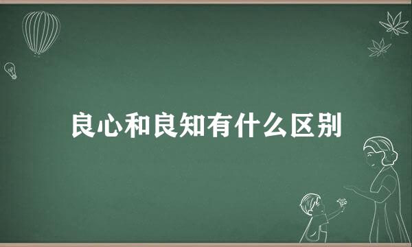 良心和良知有什么区别