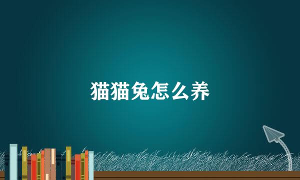 猫猫兔怎么养