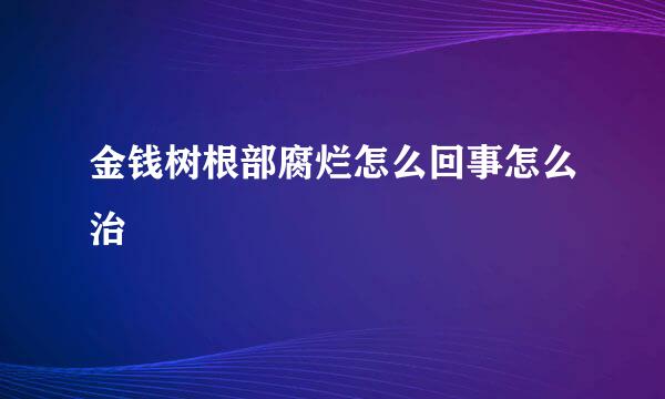 金钱树根部腐烂怎么回事怎么治