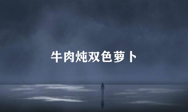 牛肉炖双色萝卜