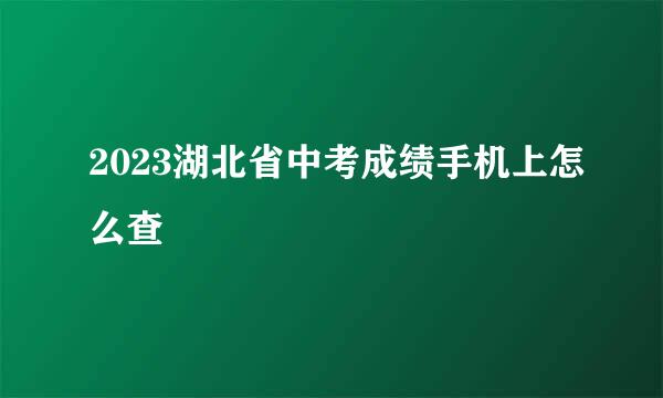 2023湖北省中考成绩手机上怎么查