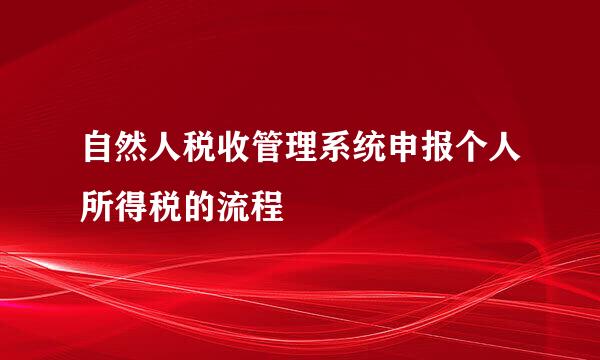 自然人税收管理系统申报个人所得税的流程