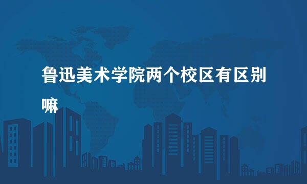 鲁迅美术学院两个校区有区别嘛