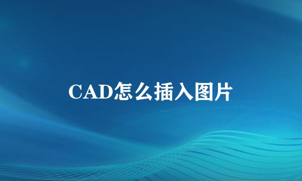CAD怎么插入图片