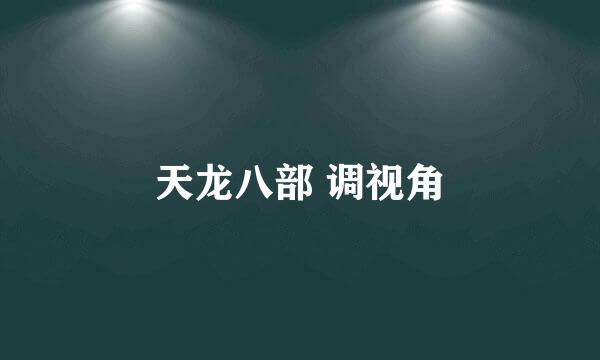 天龙八部 调视角