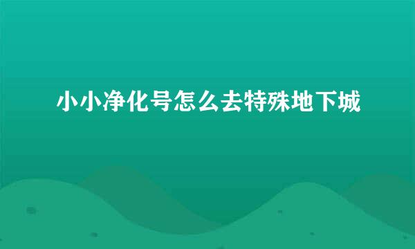 小小净化号怎么去特殊地下城