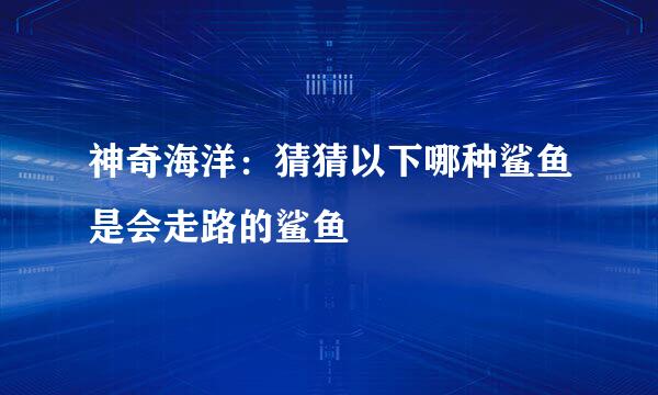 神奇海洋：猜猜以下哪种鲨鱼是会走路的鲨鱼