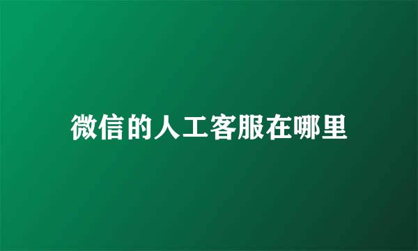 微信的人工客服在哪里