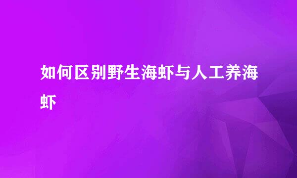 如何区别野生海虾与人工养海虾