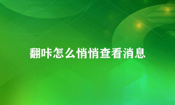 翻咔怎么悄悄查看消息
