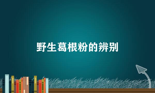 野生葛根粉的辨别