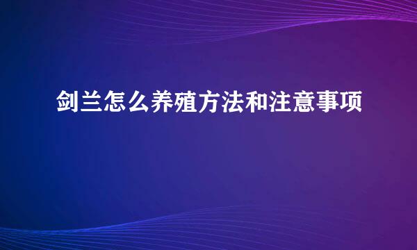 剑兰怎么养殖方法和注意事项