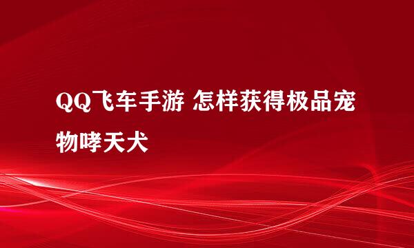 QQ飞车手游 怎样获得极品宠物哮天犬