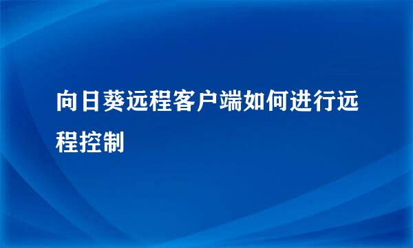 向日葵远程客户端如何进行远程控制
