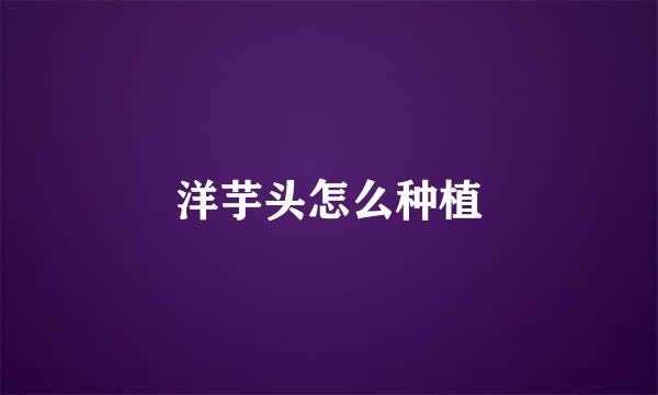 洋芋头怎么种植