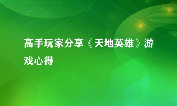 高手玩家分享《天地英雄》游戏心得