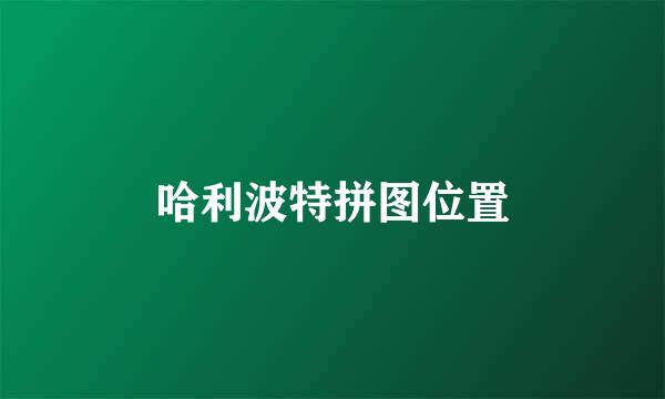 哈利波特拼图位置
