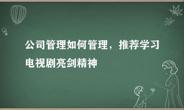 公司管理如何管理，推荐学习电视剧亮剑精神