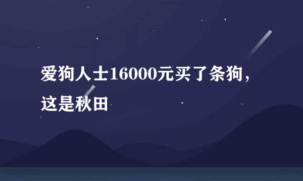 爱狗人士16000元买了条狗，这是秋田