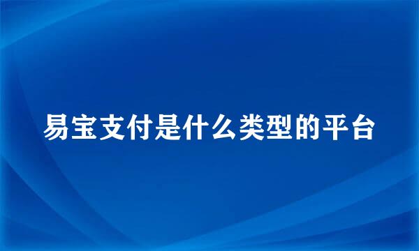 易宝支付是什么类型的平台