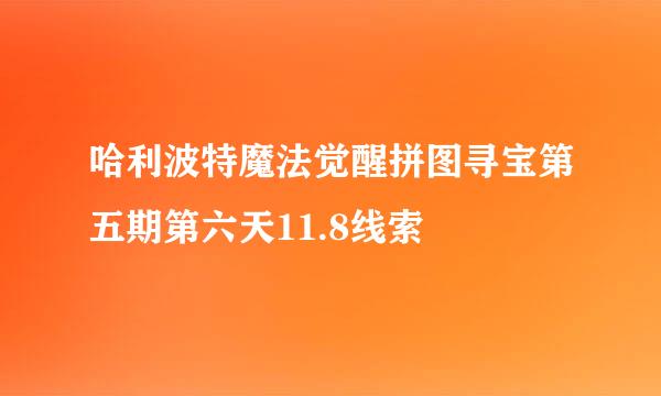 哈利波特魔法觉醒拼图寻宝第五期第六天11.8线索