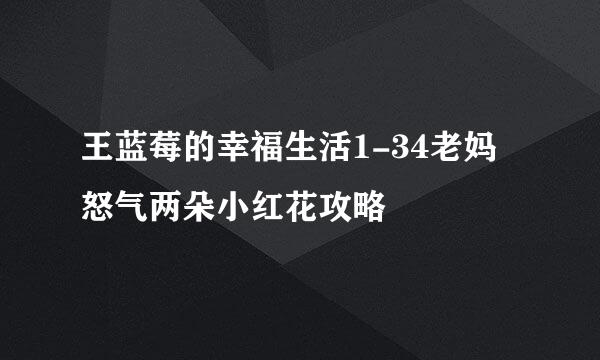 王蓝莓的幸福生活1-34老妈怒气两朵小红花攻略