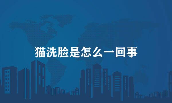 猫洗脸是怎么一回事