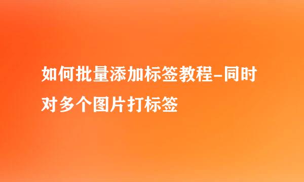 如何批量添加标签教程-同时对多个图片打标签