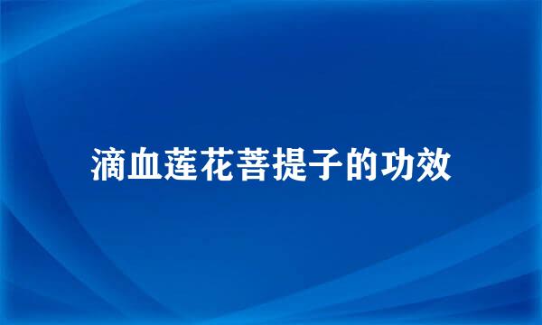 滴血莲花菩提子的功效