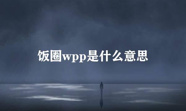 饭圈wpp是什么意思