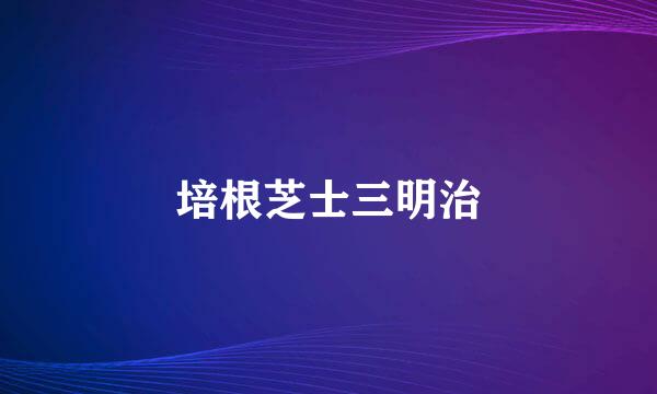 培根芝士三明治