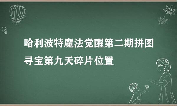 哈利波特魔法觉醒第二期拼图寻宝第九天碎片位置