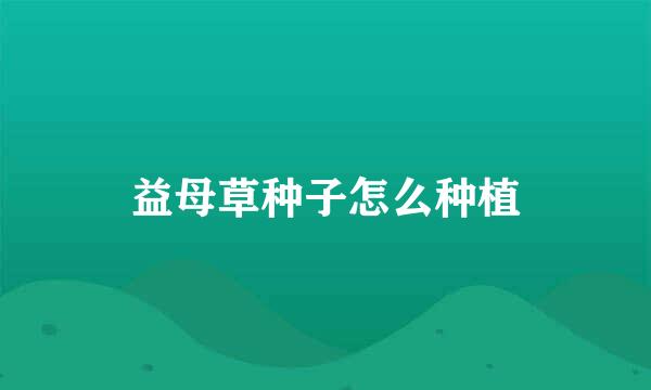 益母草种子怎么种植