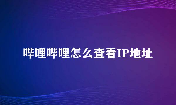 哔哩哔哩怎么查看IP地址