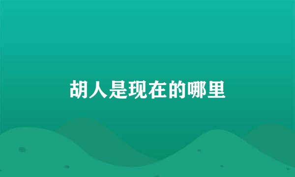 胡人是现在的哪里