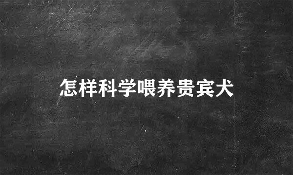 怎样科学喂养贵宾犬