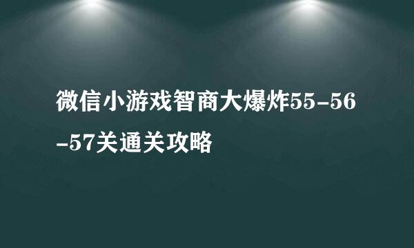 微信小游戏智商大爆炸55-56-57关通关攻略
