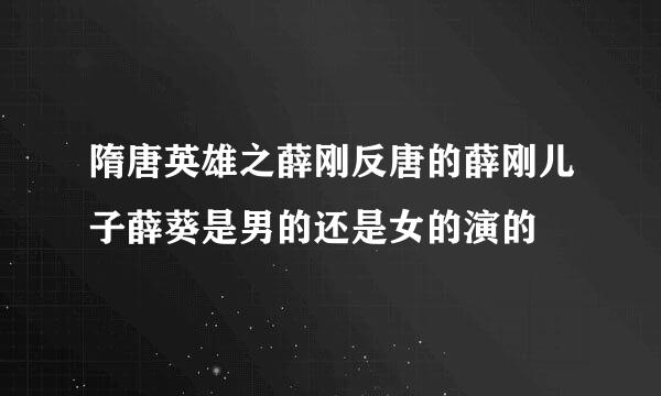 隋唐英雄之薛刚反唐的薛刚儿子薛葵是男的还是女的演的