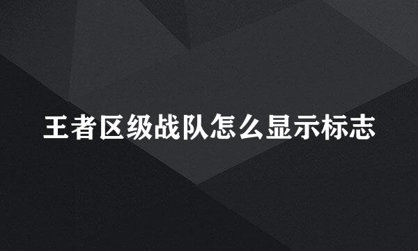 王者区级战队怎么显示标志