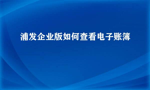 浦发企业版如何查看电子账簿