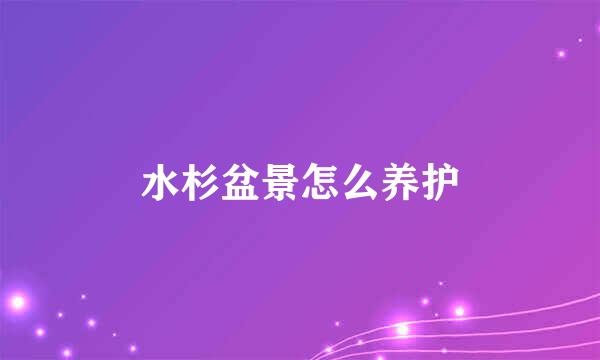 水杉盆景怎么养护